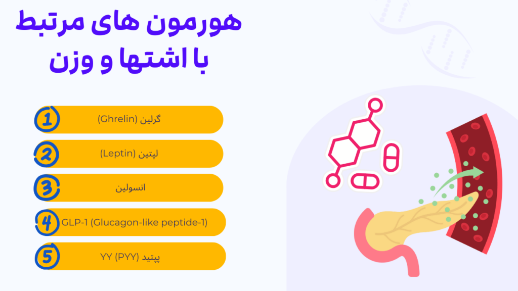 هورمون های مرتبط با اشتها و وزن